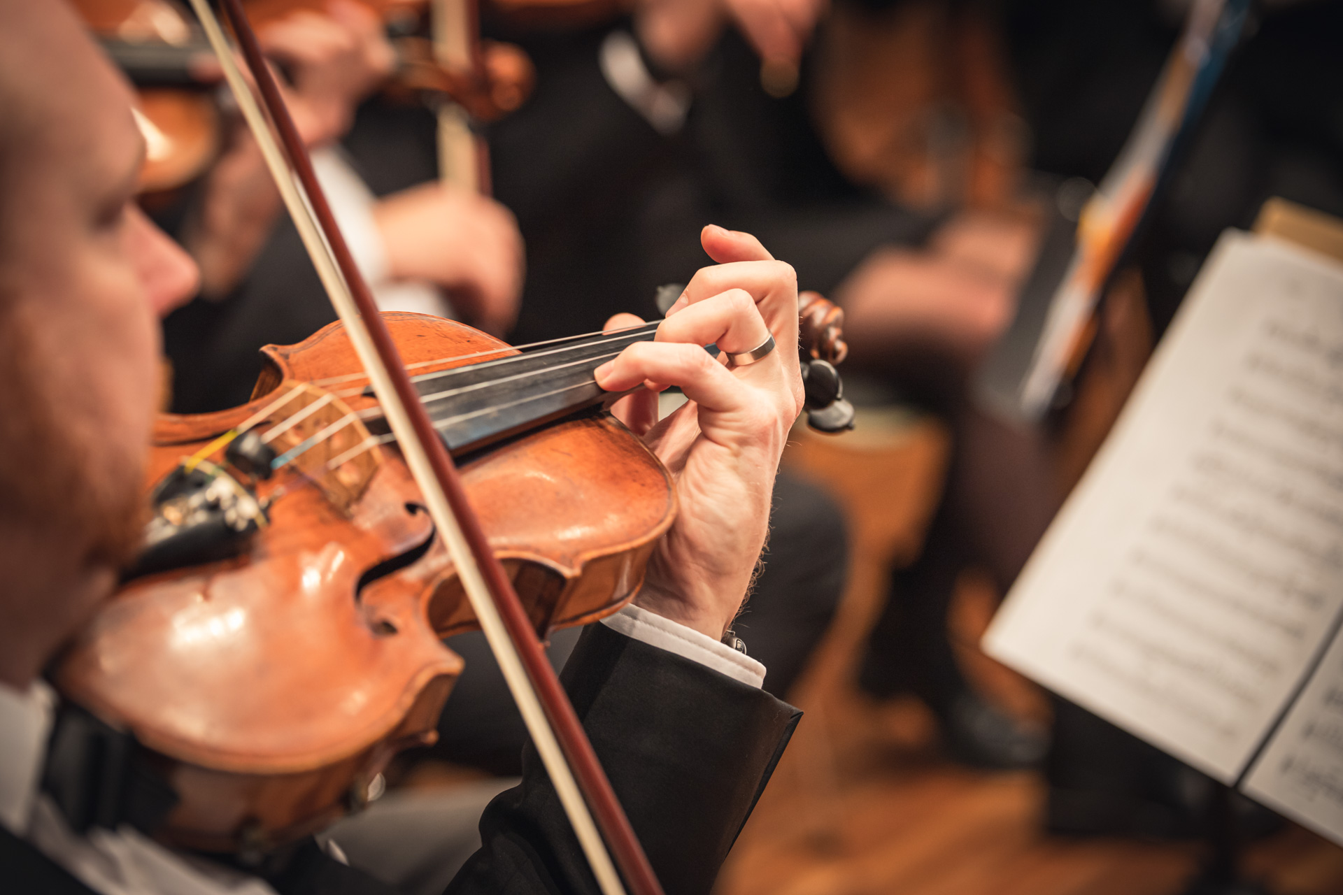 Geiger Alexander Kussmaul aus Günzburg. Konzertmeister Violine im Raum Neu-Ulm, Ulm, Heidenheim, Augsburg. Foto: Michael Lecheler alexander-kussmaul-geiger-guenzburg